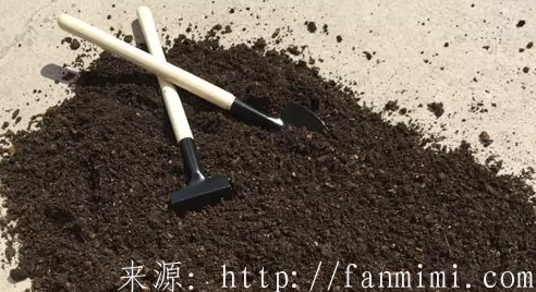 阳台种菜常见的土壤消毒方法汇总2.png