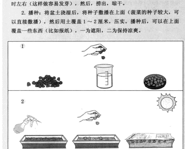 阳台种菜一本就GO.pdf电子书下载4.png