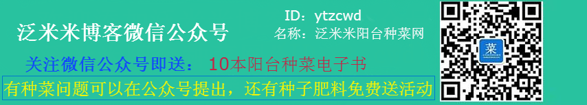 泛米米博客微信公众号.png