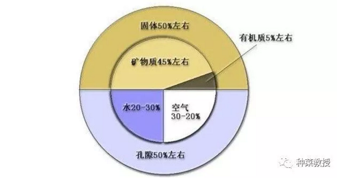 阳台种菜土壤板结怎么办？.png