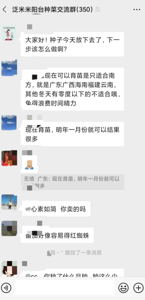 9月份10月份还可以种小番茄吗3.png